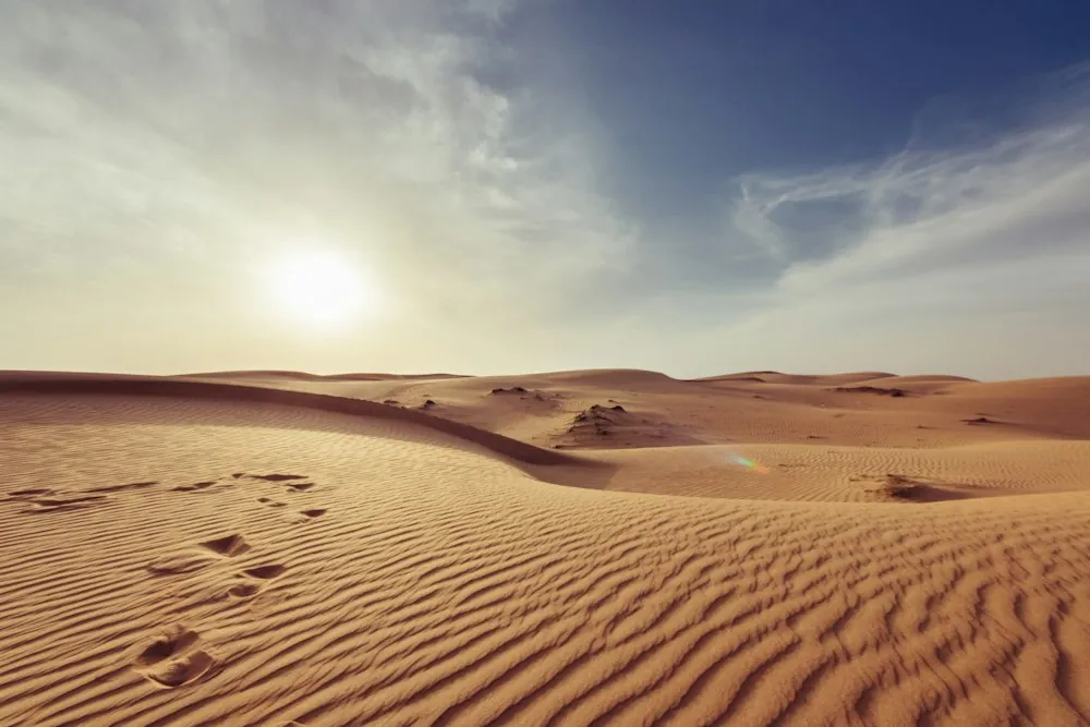 Sweeping golden desert dunes