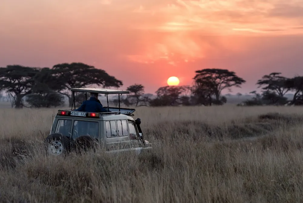 Safari vehicle on an open grassland at sunset